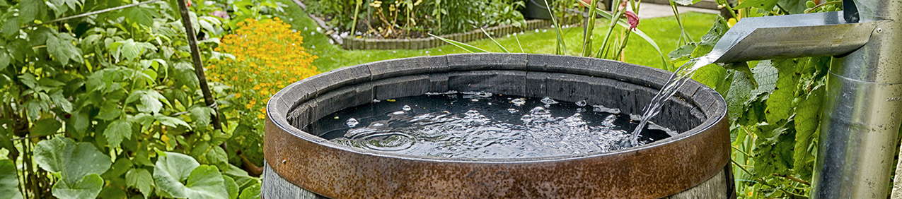 Water butt rainwater harvesting